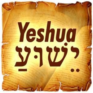 Meet your Posher, Estela